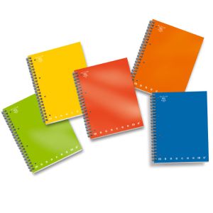 Тетрадка Pigna Monocromo A4 70 л. спирала