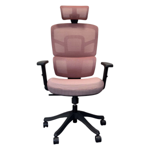 Мениджърски стол Ergo Black