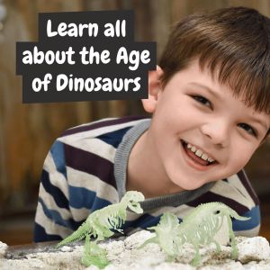 2 in 1 Fossil Excavation Kit I. Образователна игра за деца