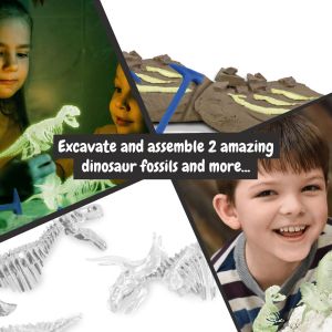 2 in 1 Fossil Excavation Kit I. Образователна игра за деца