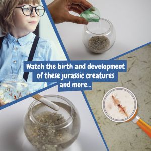 Jurassic Pets Kit I. Образователна игра за деца