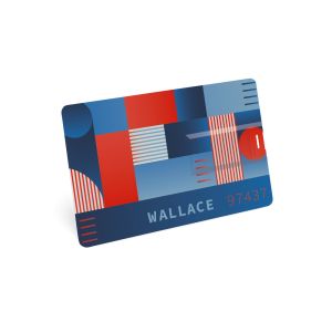 WALLACE 8GB. USB флашка UDP с 8GB в ABS