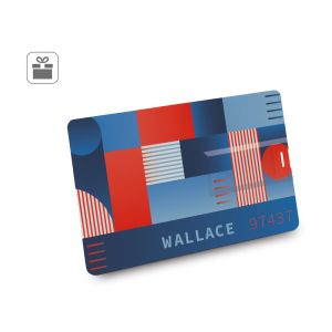 WALLACE 8GB. USB флашка UDP с 8GB в ABS