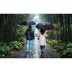 GAVIN. 27'5" umbrella in 190T pongee with automatic opening